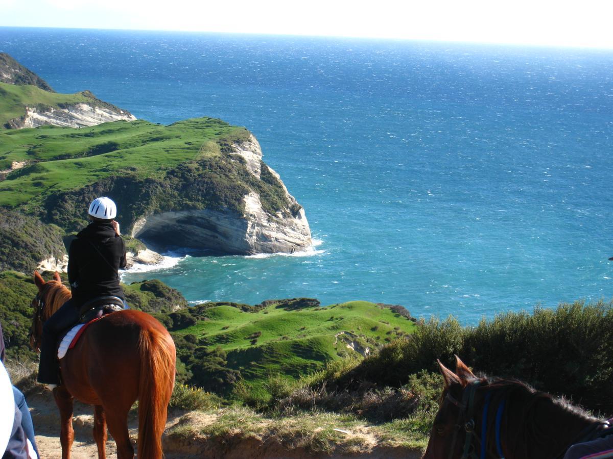 Annies Nirvana Lodge Backpackers Takaka Esterno foto