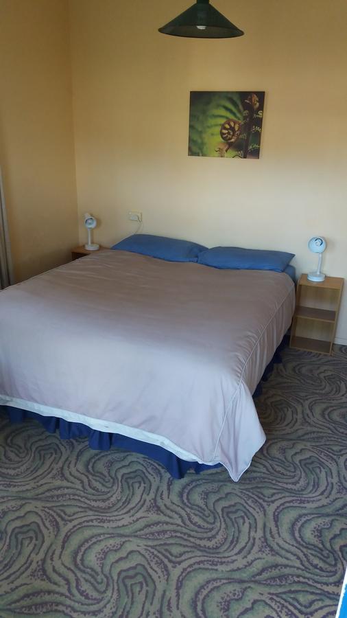 Annies Nirvana Lodge Backpackers Takaka Esterno foto