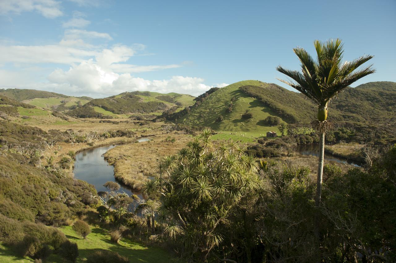 Annies Nirvana Lodge Backpackers Takaka Esterno foto