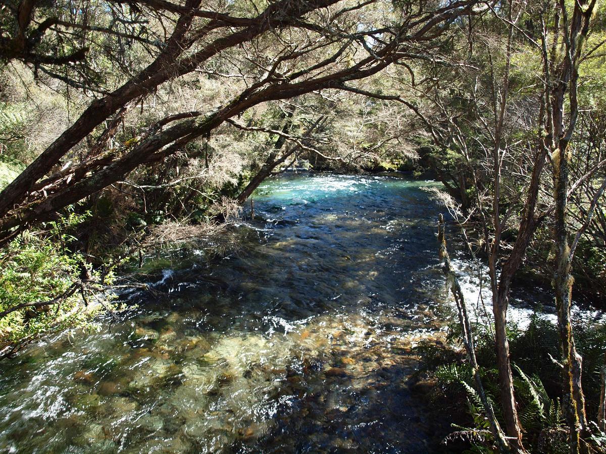 Annies Nirvana Lodge Backpackers Takaka Esterno foto